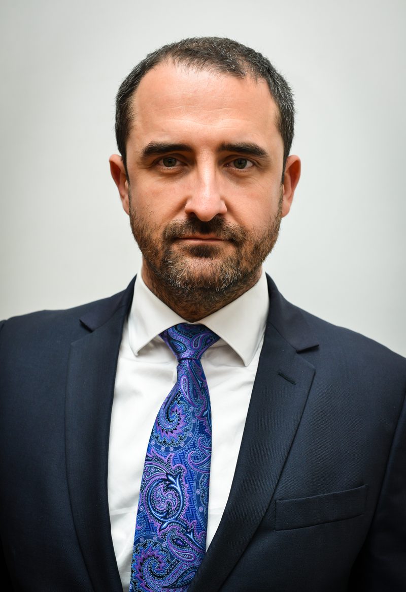 Prof. univ. dr. Bogdan Timar